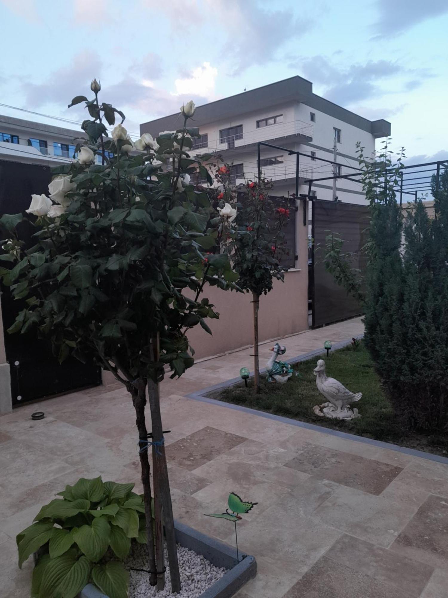 Apartamento Casa Andrei Năvodari Exterior foto